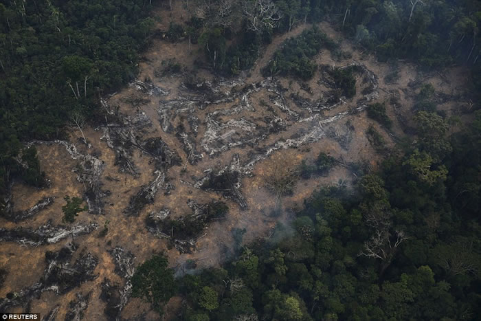 Desflorestação da Amazónia, Porto Velho, Rondónia