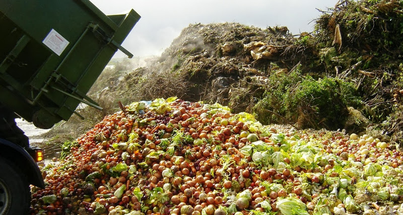 Comida deitada fora em boa qualidade