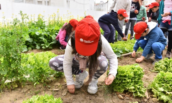 Crianças a plantar