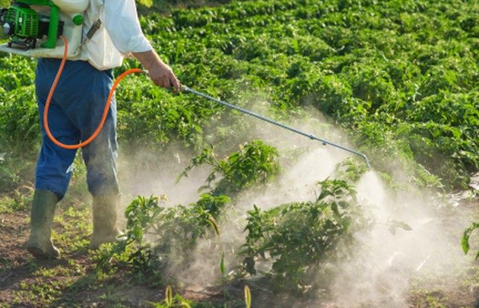 O uso de glifosato na agricultura