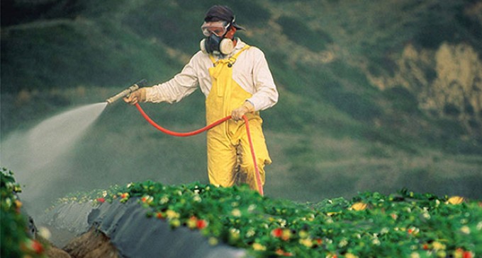 O uso do glifosato na agricultura