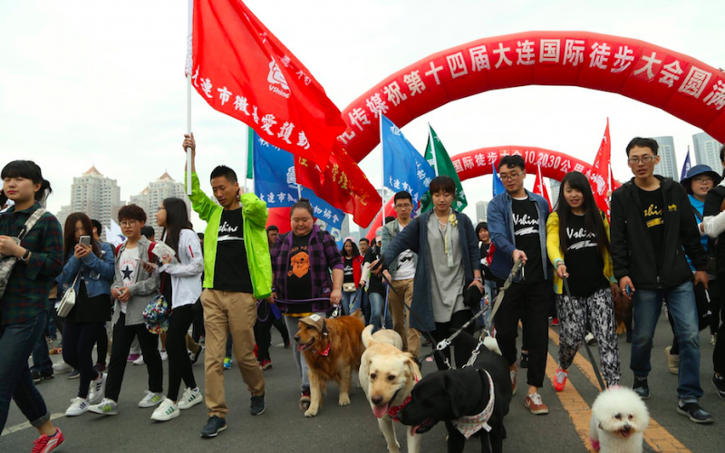 Manifestação na China contra Festival Yulin