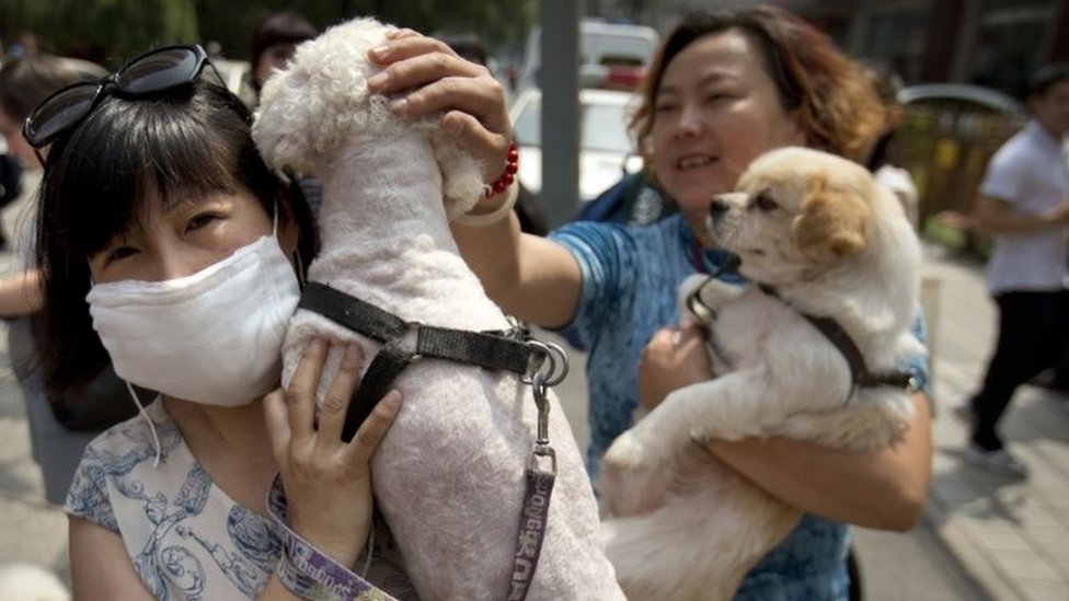 Ativistas manifestam-se contra o Festival de Yulin, com os seus cães