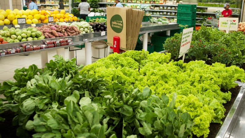 Hortinha fresca no supermercado Zona Sul