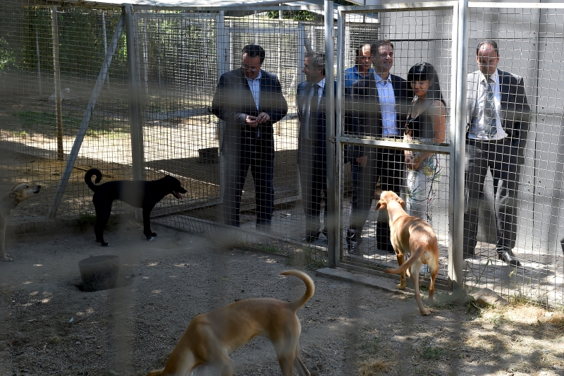 Centro Municipal de Recolha Oficial de Animais de Companhia de Braga