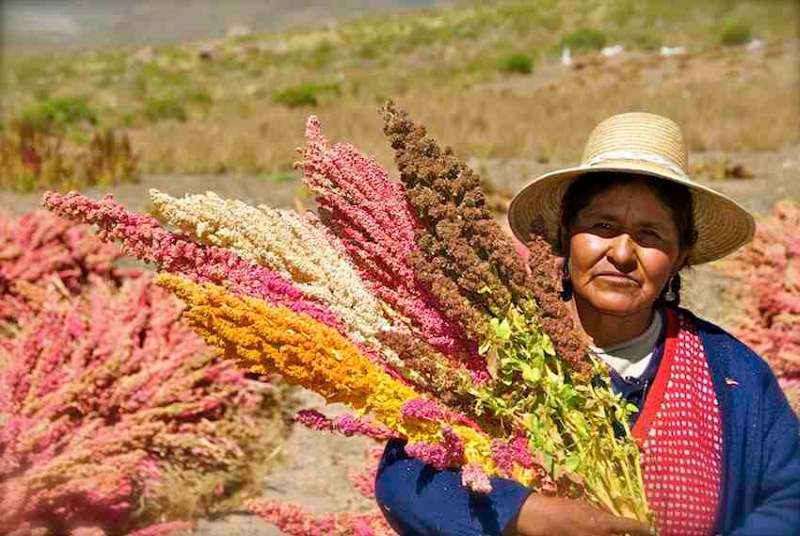 Produtora de quinoa na Bolívia