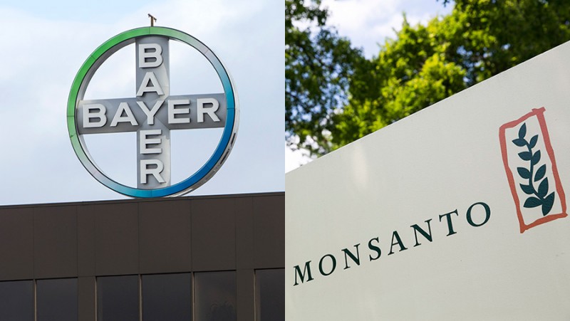 Bayer e Monsanto