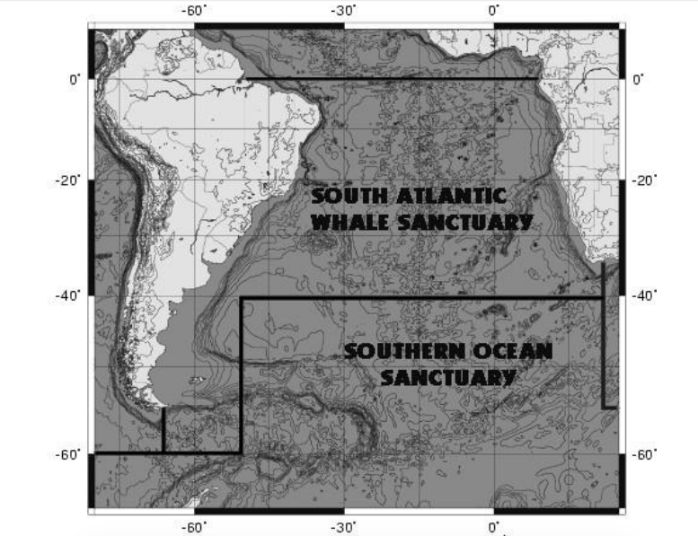 Santuário para baleias no Atlântico Sul