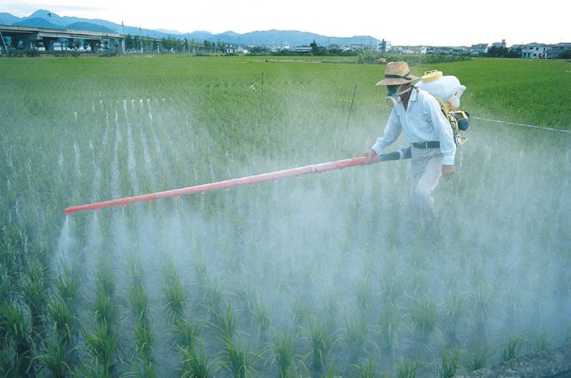 Glifosato usado na agricultura