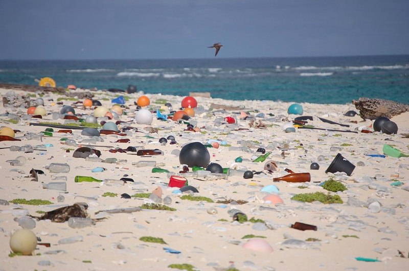 Praia cheia de resíduos de plástico