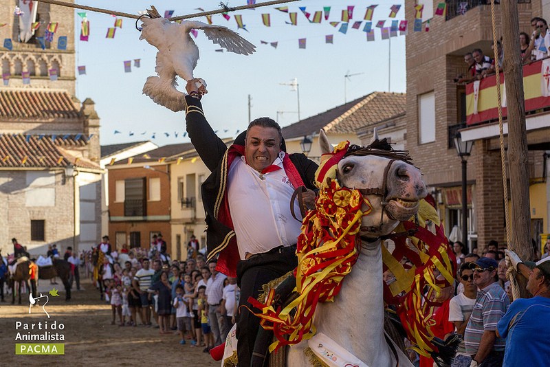 Homem decapita ganso em festa espanhola