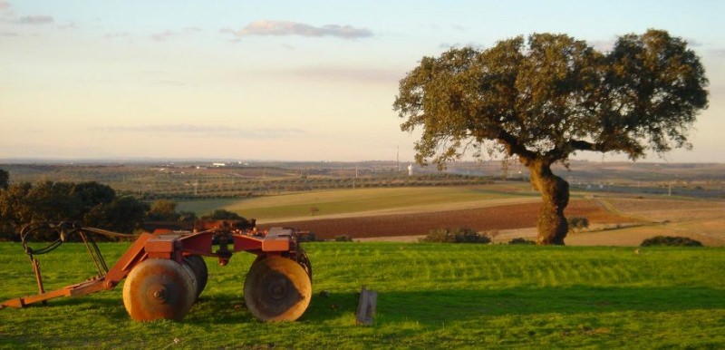 Alentejo