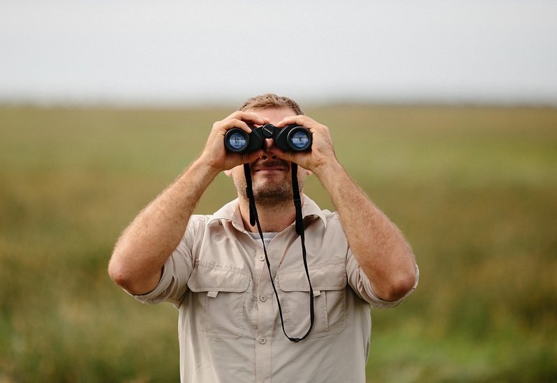 Vigilante da natureza