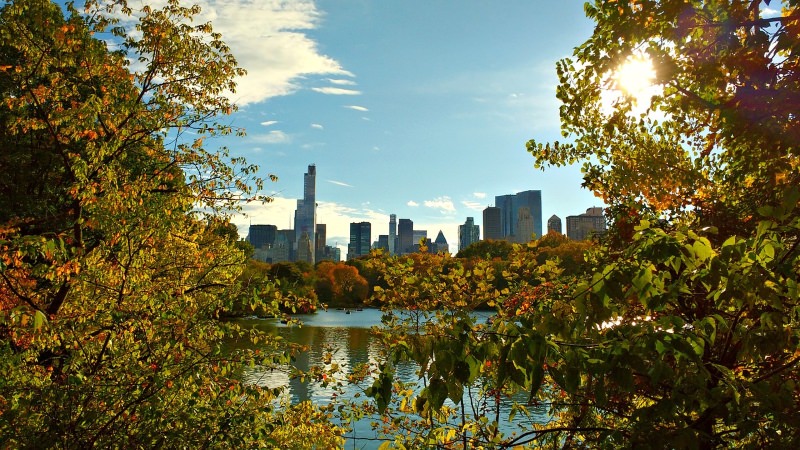 Central Park