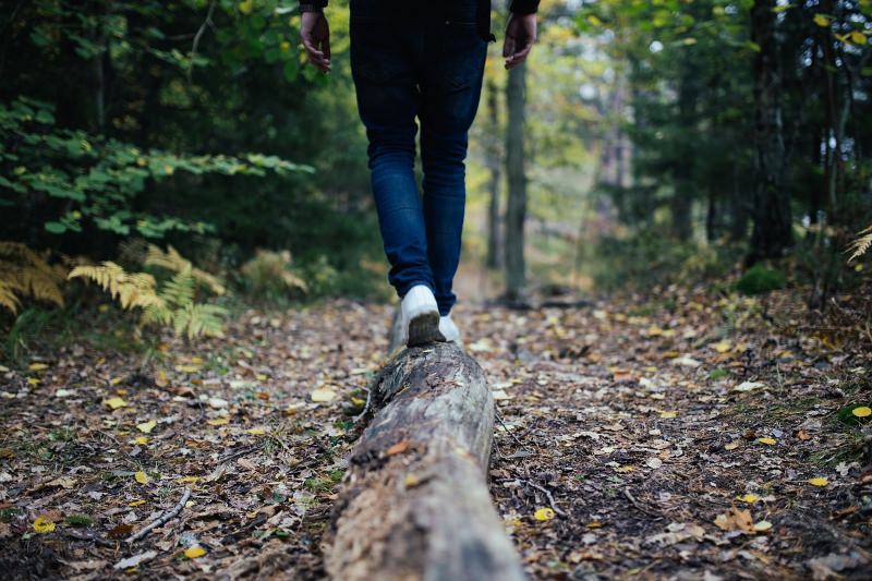 Caminhar na floresta