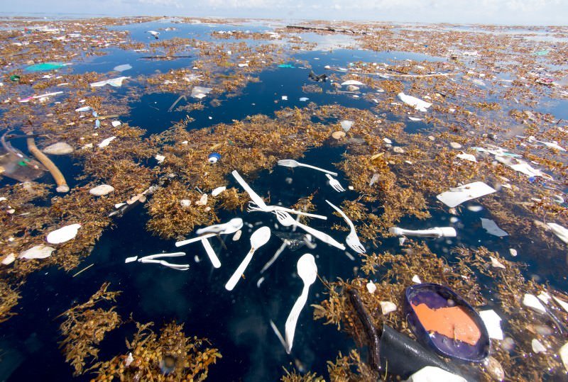 Talheres de plástico poluem o mar das Caraíbas