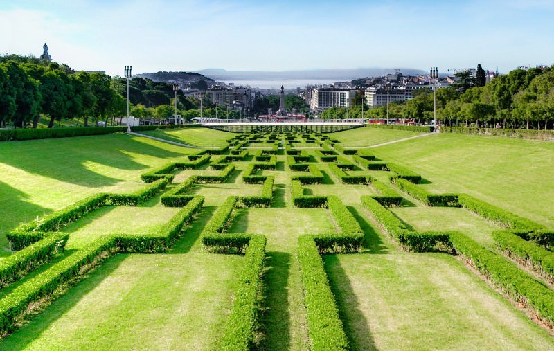 Relvado em Lisboa