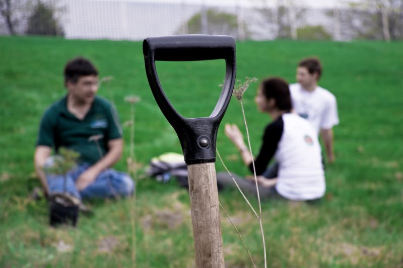 Pessoas a plantar árvores