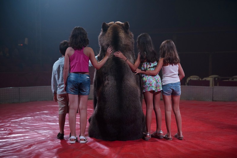 Crianças com urso no circo