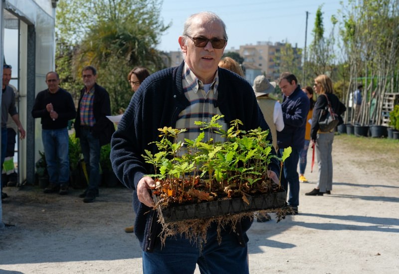 Senhor a levar árvores para plantar