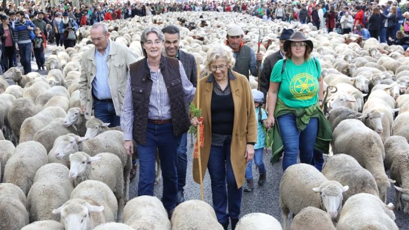 Ovelhas e Manuela Carmena, acompanhada pela vice-presidente da Câmara da capital espanhola, Marta Higueras