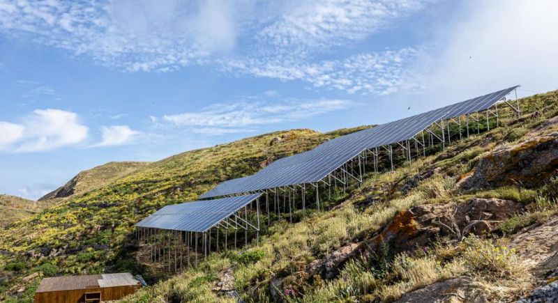 Painéis solares na ilha da Berlenga