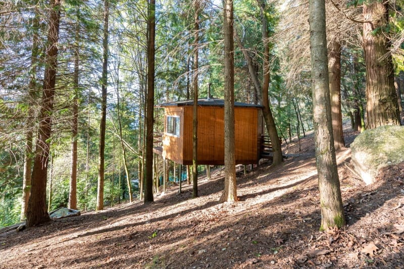 Casa na árvore em pleno bosque na Caniçada