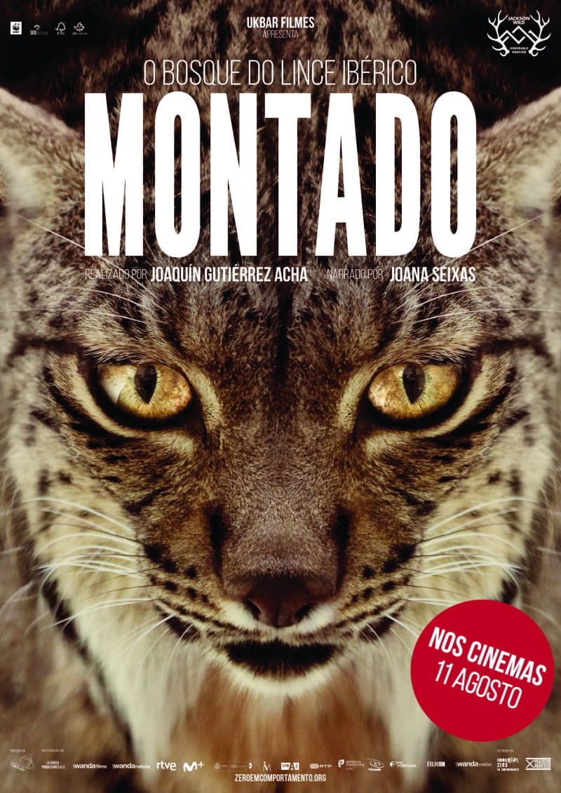 Montado filme cartaz