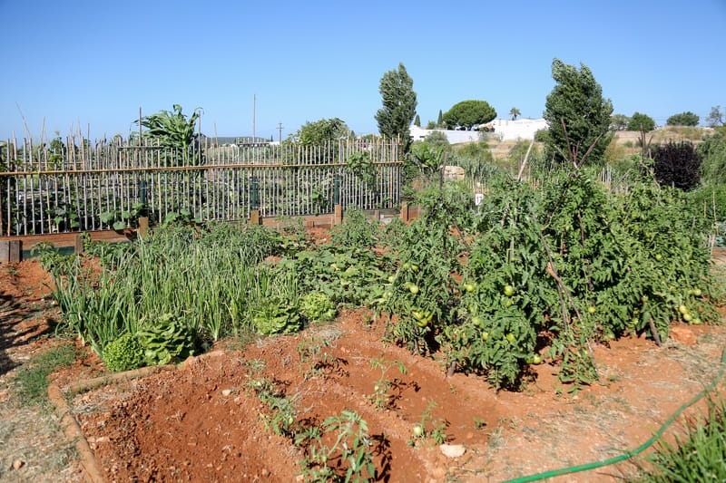 Hortas de Loulé