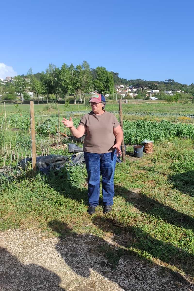 workshop de agricultura biológica